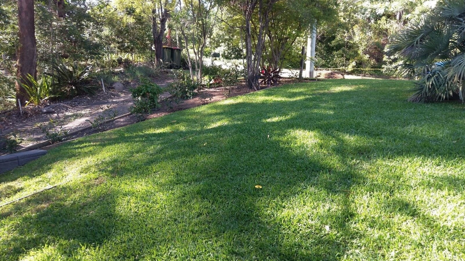 Healthy Brisbane lawn growing across sunny and shaded areas