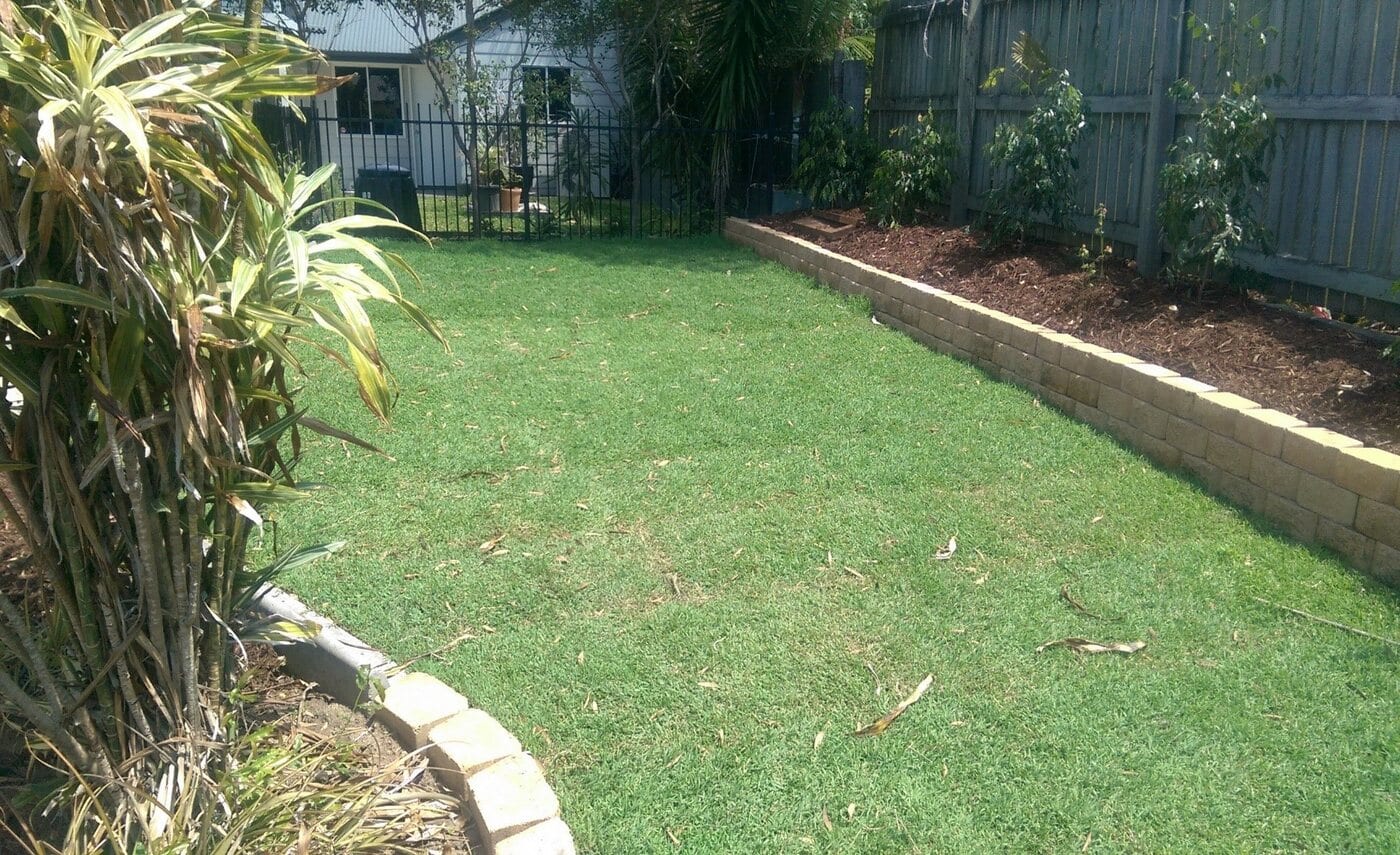 Newly laid natural turf beside a shaded tropical garden