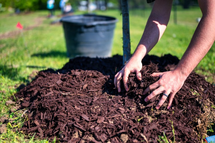 The Value of Paying for Gardening Services: Enhancing Your Outdoor Oasis